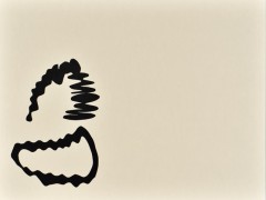 Sinus-Cuts-56x42_02