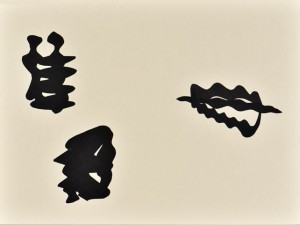 Sinus-Cuts-56x42_04