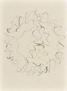 Sinuskonvolut_01_56x42