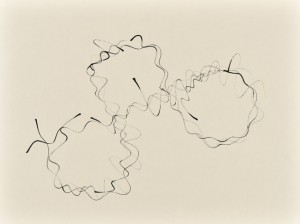 Sinuskonvolut_04_56x42