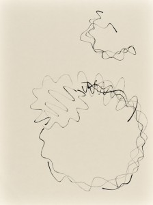 Sinuskonvolut_05_56x42