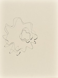 Sinuskonvolut_06_56x42
