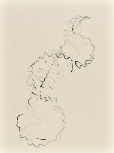 Sinuskonvolut_08_56x42