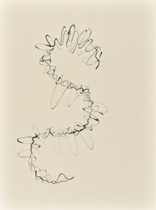 Sinuskonvolut_09_56x42