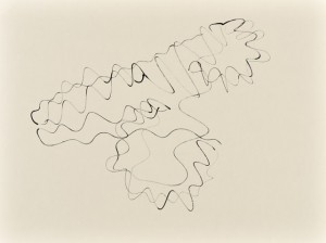 Sinuskonvolut_13_56x42