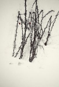 Augentoppen_16_2018
