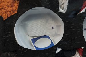 memory_details_8_2019