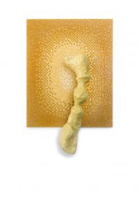 BayerStreeck_icbin_02