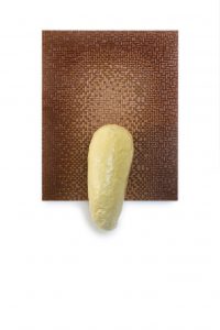 BayerStreeck_icbin_03