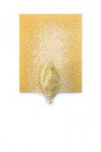 BayerStreeck_icbin_04