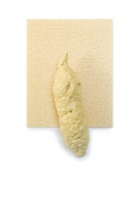 BayerStreeck_icbin_07