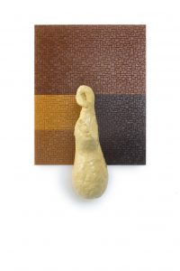 BayerStreeck_icbin_10