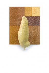 BayerStreeck_icbin_12