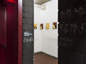 BayerStreeck_icbin_install_04