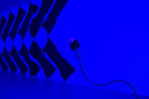 toolongforlethe__29EXG2019