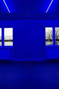 toolongforlethe__7EXG2019