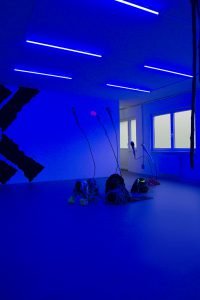 toolongforlethe__8EXG2019