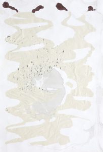 Authority_18_110x75