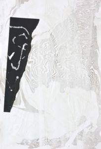 Authority_20_110x75